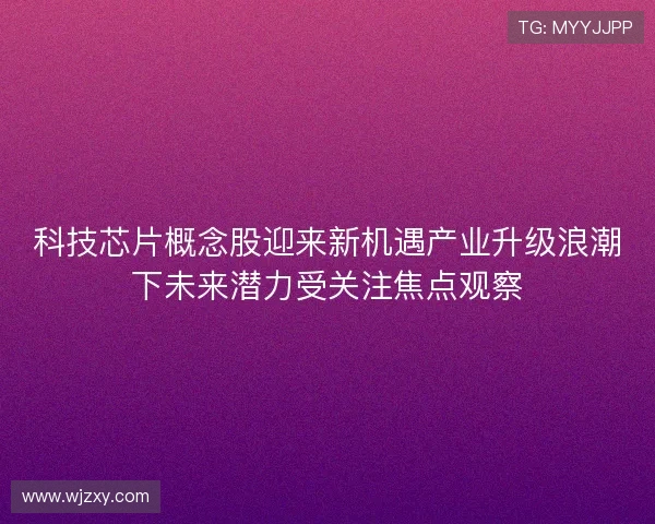 科技芯片概念股迎来新机遇产业升级浪潮下未来潜力受关注焦点观察
