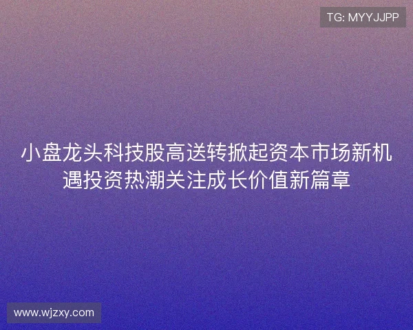 小盘龙头科技股高送转掀起资本市场新机遇投资热潮关注成长价值新篇章 小盘龙头科技股高送转掀起资本市场新机遇投资热潮关注成长价值新篇章